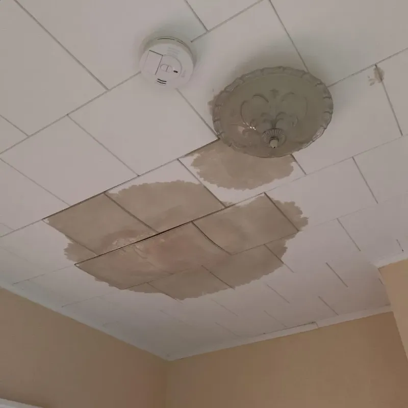Ceiling Water Damage Repair in Richford, VT