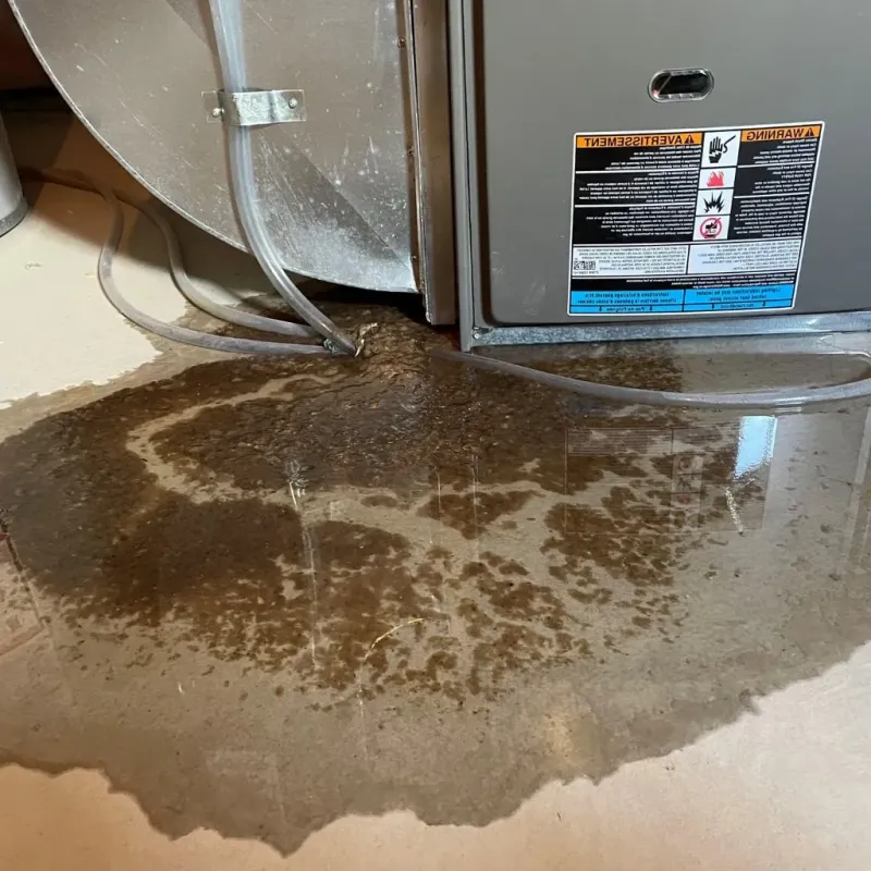 Pipe Burst and Leak Restoration in Richford, VT